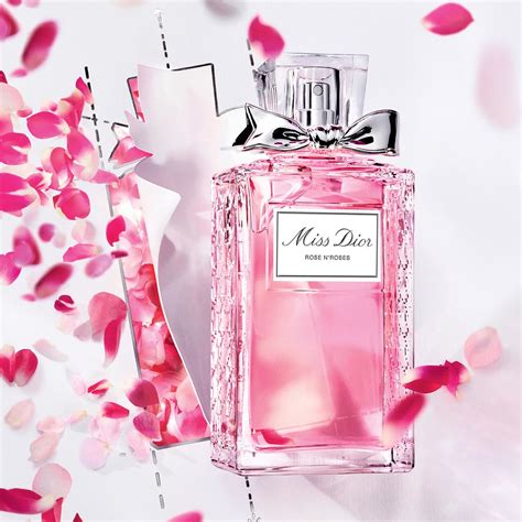 dior rose n roses 100ml|dior rose n'roses sephora.